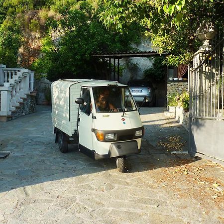 La Tana Del Tasso Ventimiglia Exterior foto